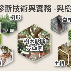 樹木診斷技術與實務-與樹對話-"線上課程"