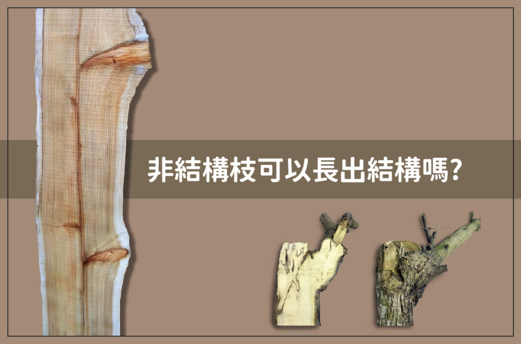 非結構枝常見的形成原因是「節間修剪」 – 樹呆子